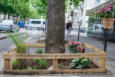 Ecologie urbaine : Aux arbres citoyens !
