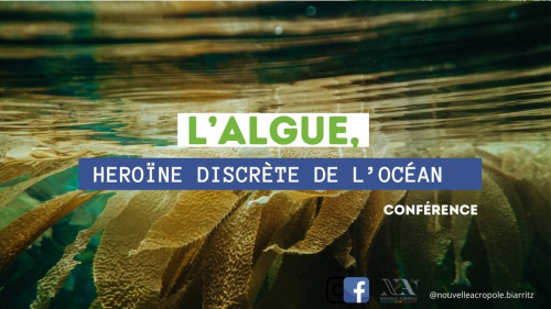 CONFERENCE : L'Algue, héroine discrête de l'océan