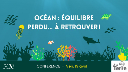 OCEAN : Equilibre perdu… à retrouver ! 